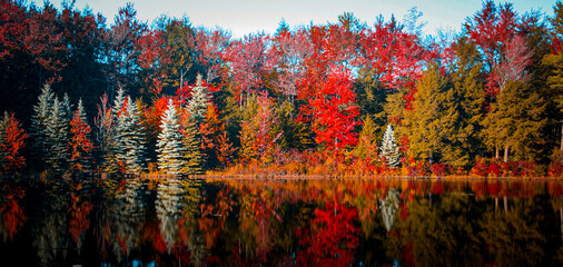 Beautiful fall scene, red and orange trees on a