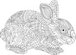 rabbit in doodle style, line drawing for coloring for adults and children. unique patterns. Line art design for antistress colouring pages in zentangle style. Vector illustration. 
