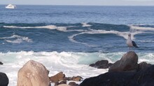 Rocky Craggy Ocean Beach, Big Huge Sea Waves Crashing On Shore, Monterey 17-mile Drive Seascape, California Coast Nature Power, USA. Beachfront Waterfront Pacific Grove. Seagull Bird. Water Splashing.