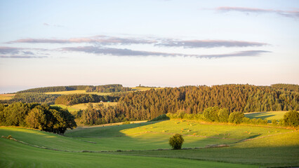 Canvas Print - fields and forests in countryside landscape of belgian province namur