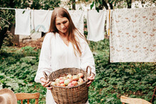 Young Woman Plus Size Model In White Dress With Basket Full Of Apples, Concept Of Harvest And Autumn On Veranda Of Country House, Sustainable Eco Friendly Lifestyle, Organic Harvesting In Garden