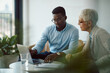 © Drazen - Black businessman and his senior colleague using laptop while working in office.