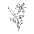 © Gstudio - flower and leafs