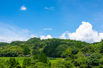 Poster - 日本の田舎の夏風景