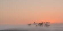 Horizontal Shot Of Mist Hiding Trees On Hill At Dawn