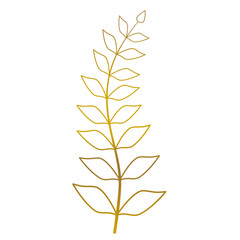  PNG. Gold leaf doodle line art.