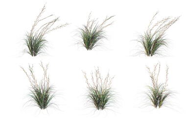 Sticker - Grass on a transparent background
