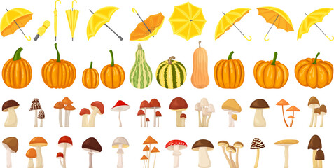 Wall Mural - set of autumn herbs, mushrooms, leaves, umbrellas in flat style isolated, vector