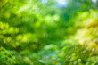 © Kuzmick - Green blurred leaves background with bokeh for designs.