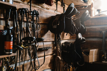 lather horse equipment hanging on wall in stable