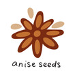 © Igor - Anise seeds. Vector flat illustration on white background.