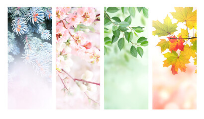 four seasons of year. set of vertical nature banners with winter, spring, summer and autumn scenes