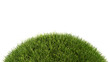 Grassy hill isolated on a white background. Grass sphere 3d rendering. Transparent background, PNG file