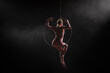 A young woman aerialist sitting on an aerial ring under a circus dome. Athlete acrobat performing in the dark with backlight and smoke. View from the back of a slender flexible female equilibrist.