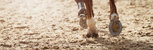 Close-up View Of The Horse's Hoofs During Show Jumping Event, Horse Running In Sand