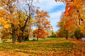 Autumn foliage in Catherine park, Tsarskoe Selo (Pushkin), St. Petersburg, Russia