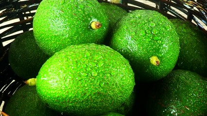 Wall Mural - Close up avocados in the basket, in door  Chiangmai Thailand