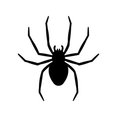 silhouette of a spider hanging from a web Abandoned House Horror Ideas for Halloween