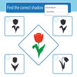 Game for children. The development of logic and attention. Find the correct shadow. Tulip. Printable activity sheet. Vector illustration