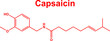 Capsaicin molecule hot chili peppers spice component. Red capsaicin chemical formula