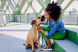 © Halfpoint - Multiracial girl sitting and resting with her dog outside in the bridge, training him, spending leisure time together. Concept of relationship between dog and teenager, everyday life with pet.