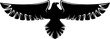Eagle in flight isolated falconry symbol