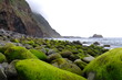 Steine mit Moos bedeckt an der Küste 2