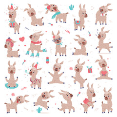 Sticker - Cute fluffy baby llama in everyday activities set. Funny alpaca domesticated animal characters cartoon vector illustration