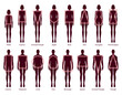 © Vectoressa - Set of Women Men body shapes silhouette types. Male and Female Vector illustration in cartoon style 9 head size Gentlemen and lady figure view. Vector outline isolated boy and girl for illustration.