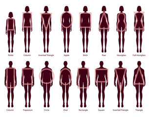 Set of Women Men body shapes silhouette types. Male and Female Vector illustration in cartoon style 9 head size Gentlemen and lady figure view. Vector outline isolated boy and girl for illustration.