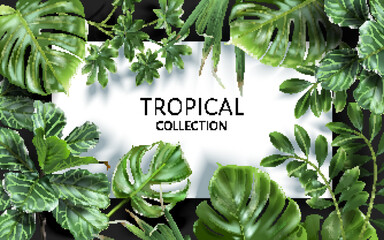 Vector frame with green tropical leaves