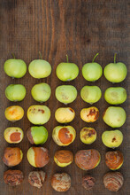 Different Degrees Of Apple Decomposition.