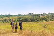 © rozaivn58 - Three young boys with backpacks go hiking along the  field.