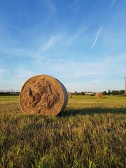 Wall Mural - Rolls of hay on a green field