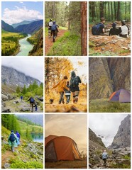 Poster - Collage of images of travel in the wild