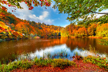 Autumn In Lake. Autumn Landscape At Beautiful Lake With Colorful Tree Leaves. Colorful Autumn Leaves In Stunning Forest Landscape. Pastel Colors Of The Autumn Season. Autumn Background Photo. 