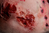 Forehead of undead evil zombie in studio, showing bloody scars and wounded face on camera. Dangerous cruel monster having dirty wounds and creepy scratches with blood. Close up.