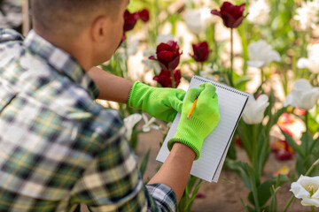 Wall Mural - gardening and people concept - close up of man writing to notebook and taking care of flowers at summer garden