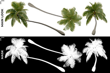 Wall Mural - 3D Rendering of Tropical Trees (Caribbean and beach) with alpha mask to cutout and PNG editing. Vegetation for Nature Compositing
