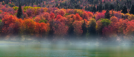 Canvas Print - Fall foliage around Maple lake in Utah valley near Mt Nebo.