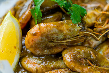 Wall Mural - boiled shrimp on plate extreme macro close up