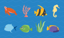 Sealife Icon Collection