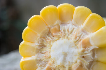 Wall Mural - Closeup Yellow Corn, sweet corn, yellow corn background, healthy organic food, bio nutrition