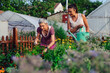 © zorandim75 - Mother and daughter gardening together.Gardening discovering and teaching.