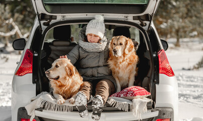 Wall Mural - Golden retriever dogs with girl in winter time