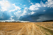 © S. Leitenberger - Formation de cumulonimbus d'orage au dessus d'un champ. Ciel très nuageux, arrivée de la pluie