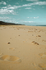 Wall Mural - Long empty beach on cloudy day