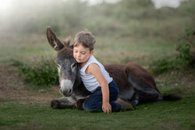 Little Boy Is On The Grass Hugging A Donkey