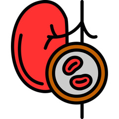 Wall Mural - Kidney Checkup Icon