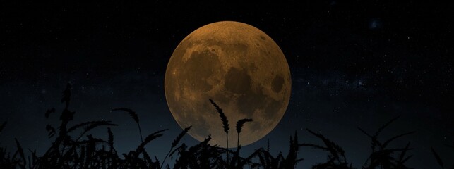 harvest moon september full moon 3d illustration concept